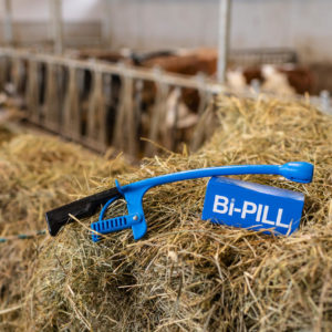Bi-Pill bicarbonate