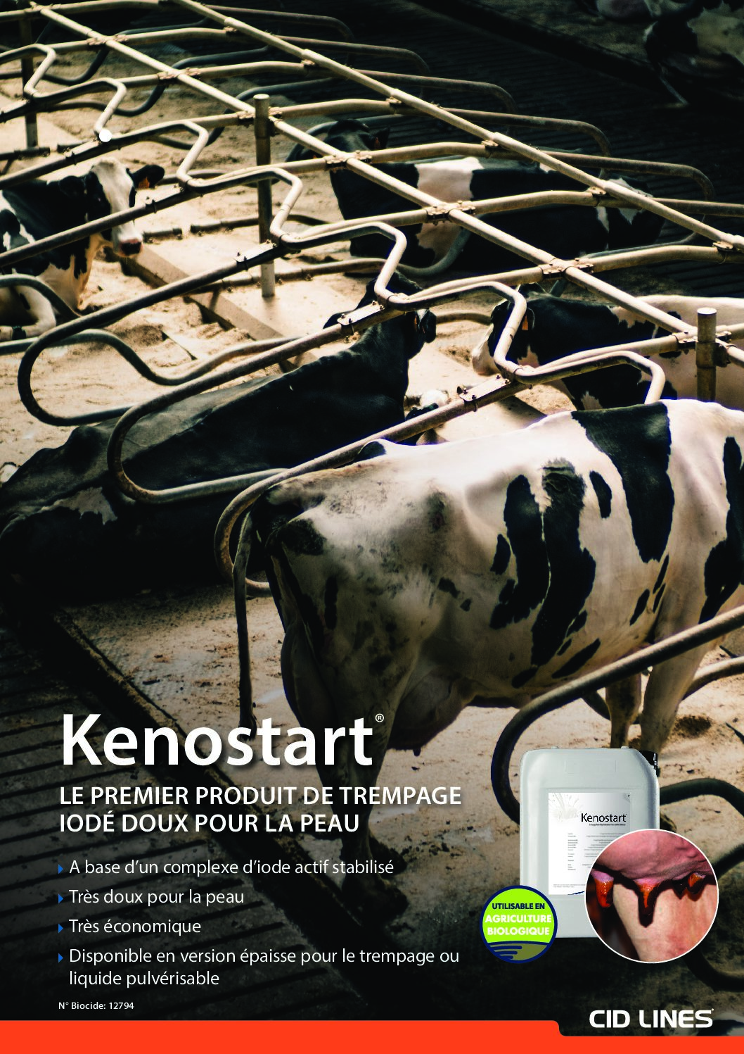 Kenostart trempage épais