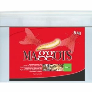 Maggots larvicide