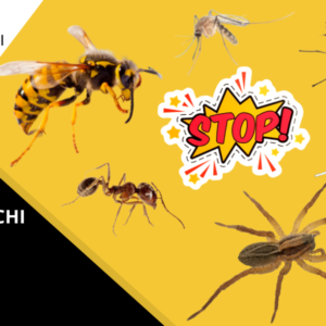 Stop insecte